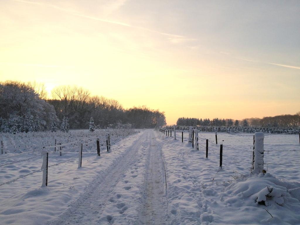 B&B Roodbeekerhof Vlodrop Værelse billede